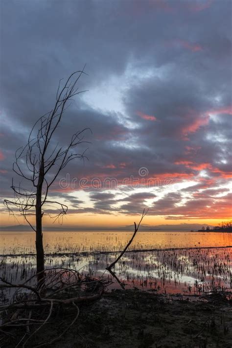 Moody Lake Shore At Sunset With Sun Light Reflecting On Water And