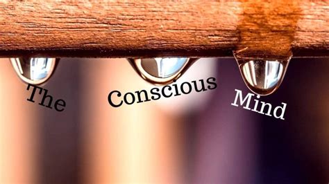 The Conscious Mind Being Selfish Vs Selfless