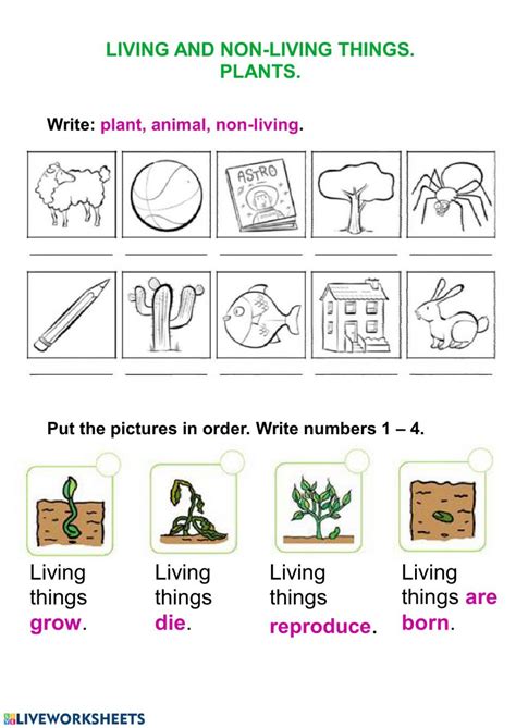Living Things And Plants Interactive Worksheet Resignation Letter