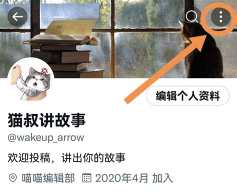 猫叔讲故事 On Twitter 如果有人问怎么查看自己所在的列表，见下面的截图👇🏻👇🏻👇🏻