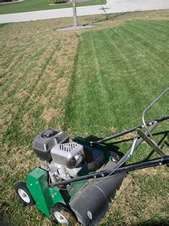 Never dethatch when your lawn is dormant or stressed; Landscaper Sheboygan | landscaping | lawn service | snow ...