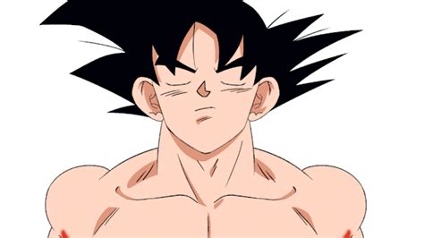 Omni God Goku Wiki Anime Amino