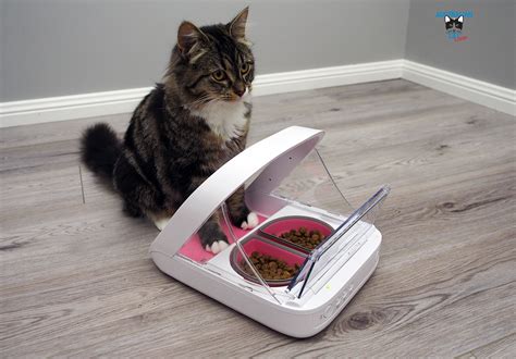 The feeder has a lid that stays closed at all times blocking the food that can only be accessed by the assigned cat through its microchip, either collar tag or implanted. SureFeed Microchip Pet Feeder Connect Review | Australian ...