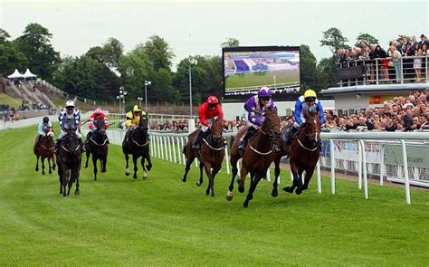 Chester Betting Odds Horse Racing Tips