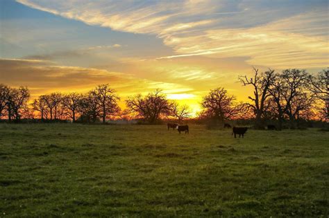 Here you may to know how to purchase land in texas. Thomas Ranch - Republic Ranches
