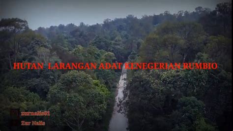 Kelestarian Hutan Larangan Adat Kenegerian Rumbio ⁉ Youtube