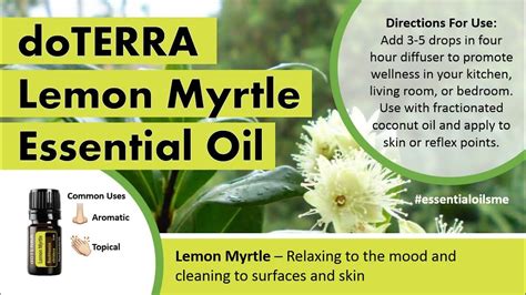 Incredible Doterra Lemon Myrtle Essential Oil Uses Youtube