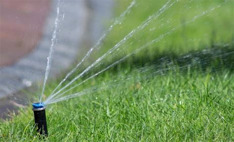 Premium Photo Automatic Lawn Watering System