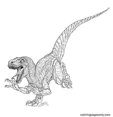 Censo Nacional Hornear Prohibir Velociraptor Coloring Page Estante