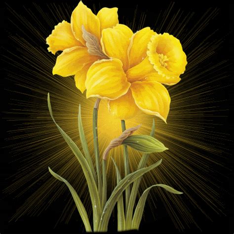 Happy birthday cakes with name, beautiful flowers, amazing festive fireworks, balloons and funny characters. flores iluminadas | Flores iluminadas | Flowers, Flowers ...