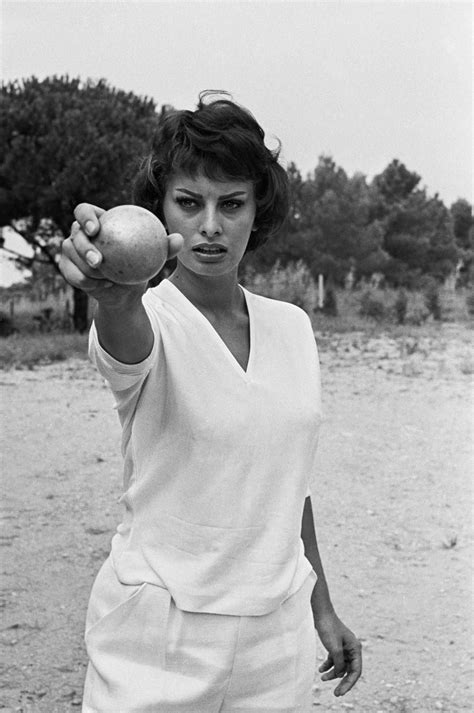 Gameraboy Sophia Loren Classic Actresses Classic Movies Beautiful Actresses Sofia Loren