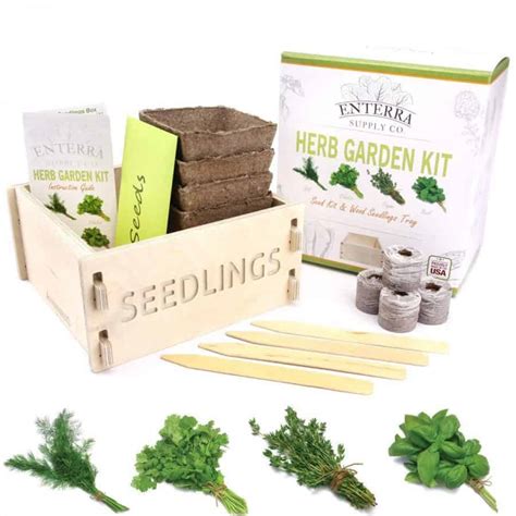 So what is the best herb garden for growing indoors? Indoor Herb Garden Kits for Fresh Kitchen Herbs | Family ...