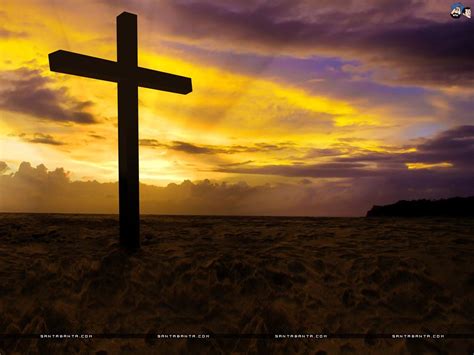 Holy Cross Wallpapers Top Free Holy Cross Backgrounds Wallpaperaccess