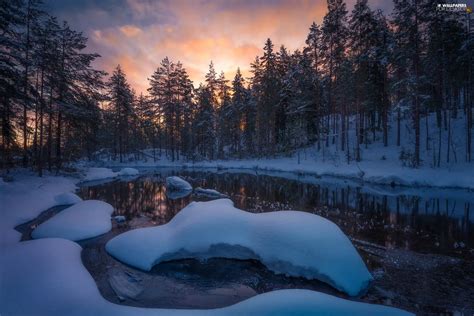 Viewes Ringerike Municipality Snow Trees Norway Winter Lake For