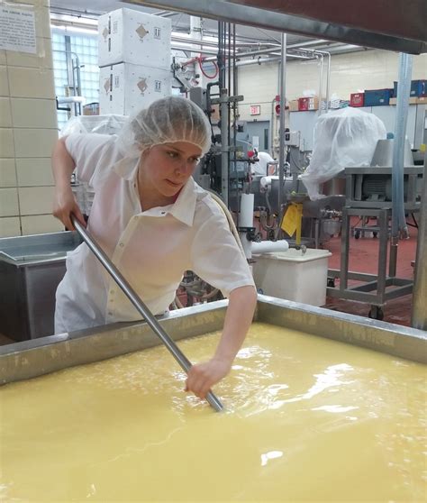 Becoming A Wisconsin Cheesemaker