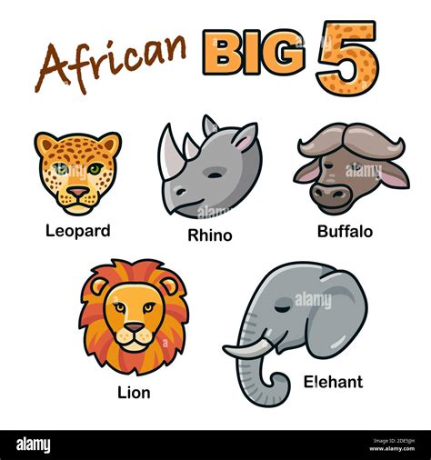 African Big Five Animal Heads Cartoon Set Lion Leopard Elephant