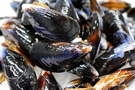 Fresh Mussels Marrfish Fish And Seafood Home Delivery