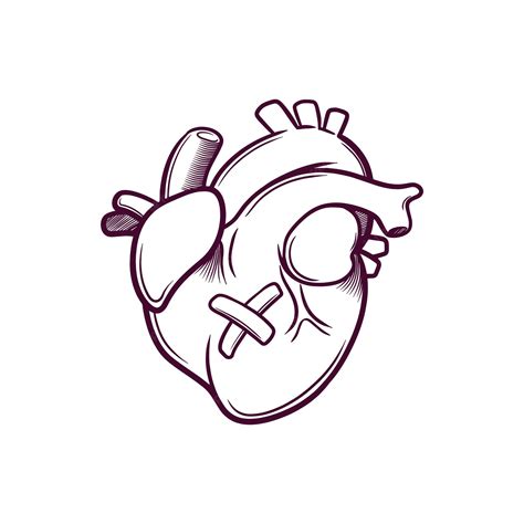 Lindo Corazón Humano Dibujado A Mano Ilustración De Garabato Vector