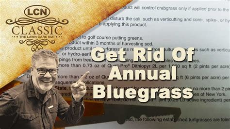 The type of grass grown in your yard may differ from your neighbor's significantly, depending on where you bought the seed, when the lawn was established and if you've taken a walk around your property and recognized crabgrass growing among the kentucky bluegrass, zoysia and fescue, don't despair. How To Get Rid Of Annual Bluegrass (Poa Annua) In Your Lawn - YouTube
