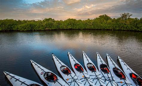 The Ultimate Guide To Exploring The Everglades By Kayak Mens Journal
