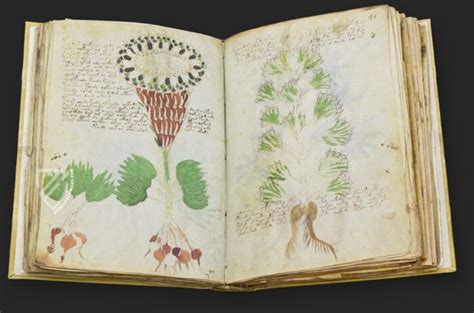 Manuscrito Voynich História Do Livro Mais Misterioso Do Mundo