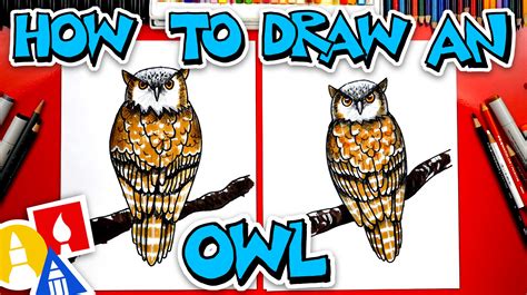 How To Draw A Realistic Owl Art For Kids Hub