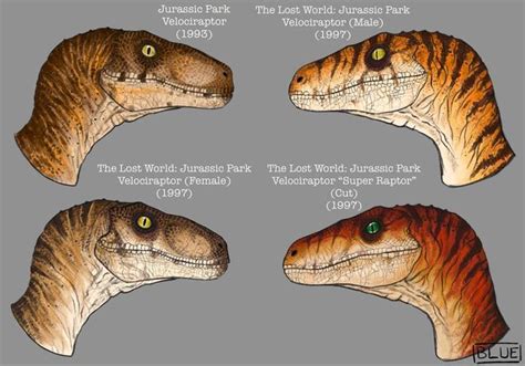 Blue On Instagram Not To Scale ️ Almost Every Velociraptor In The