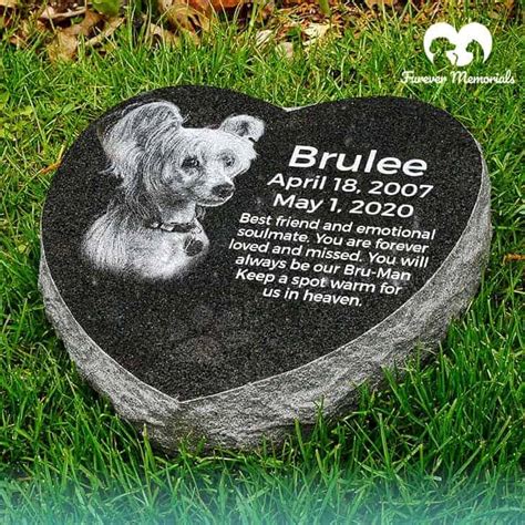 Gravestone Vs Headstone Choosing The Right Pet Memorial Furever