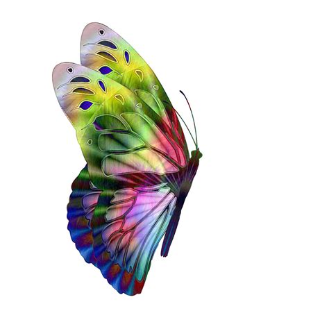 Free Free 191 Svg Butterfly Side View Flying SVG PNG EPS DXF File