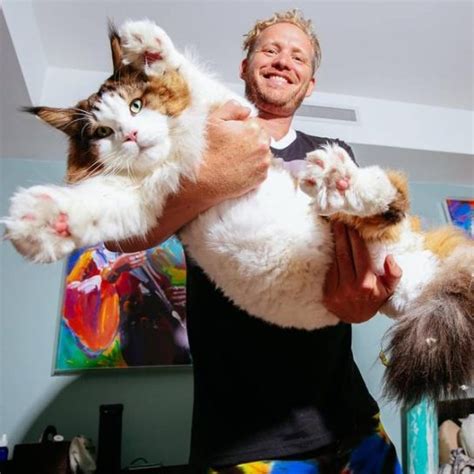20 Photos Of The Worlds Largest Pet Cats You Have Never Seen Before