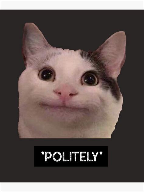 Polite Cat Smiling Politely Meme Poster By MeowStation Redbubble