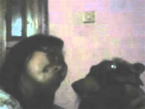 Aksi Wanita Gila Bersama Anjing Nya Youtube
