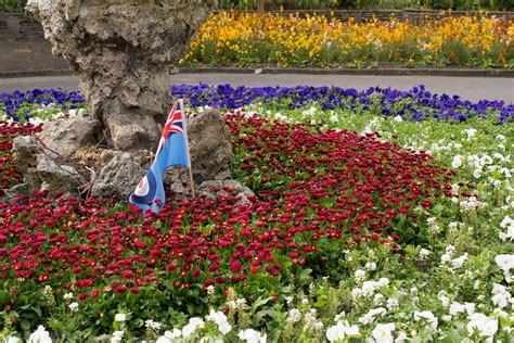 Raf Spring Flowerbed Botanic Gardens Churchtown Rob Yelland Flickr