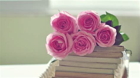 Pink Roses Wallpaper 64 Images