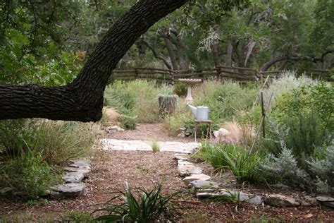 A Texas Hill Country Garden Fall Pictures
