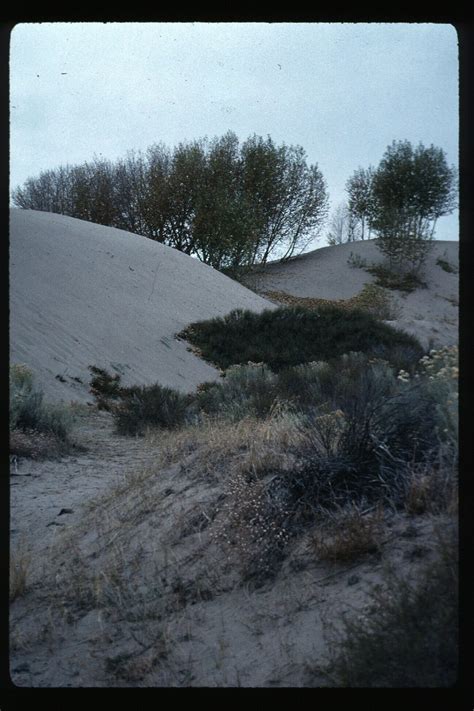 Public Domain Picture Recreation St Anthony Sand Dunes Off Highway