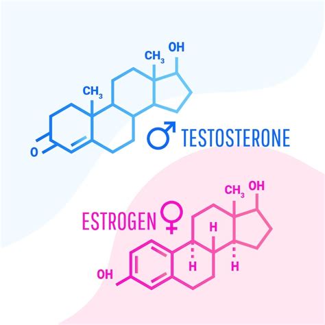 Fórmula Molecular De Hormonas De Estrógeno Y Testosterona Con Formas Fluidas Líquidas Sobre