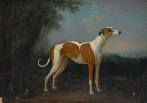 Its A Dogs Life Canine Portraits And Scenes From Old Master Paintings