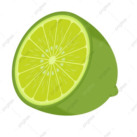 Fresh Limes Clipart Hd Png Vector Of Fresh Lime Slice As Tropical