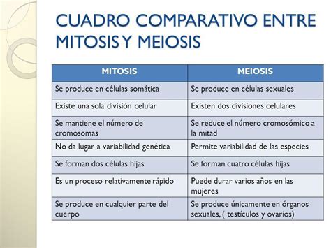 Cuadro Comparativo De La Mitosis Y Meiosis Es Urgente Brainly Lat