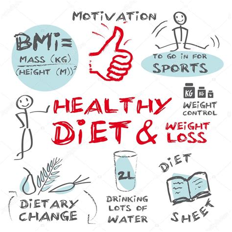 Diet Weight Loss — Stock Vector © Trueffelpix 34568205