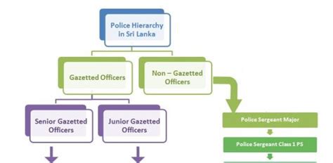 Police Hierarchy Police Ranks And Structures Hierarchystructure Com