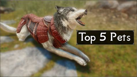 Skyrim Top 5 Pets And Furry Friends You May Have Missed In The Elder
