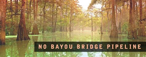 Bayou Bridge Pipeline Teach In Br Action Network