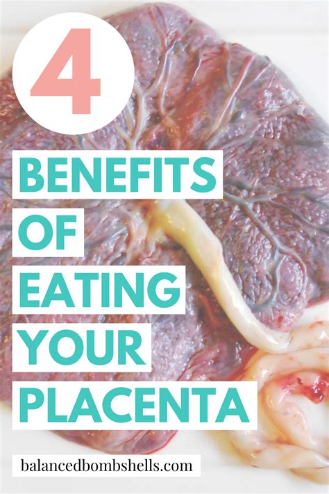Why I Won T Be Eating My Placenta Placenta Placenta Recipes