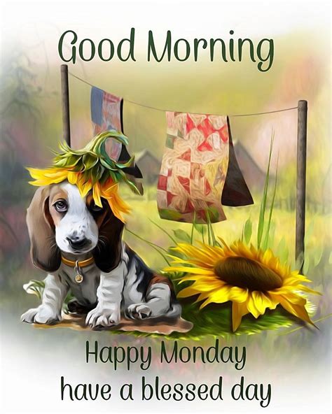 Puppy And Sunflower Good Morning Happy Monday Quote Pictures Photos And