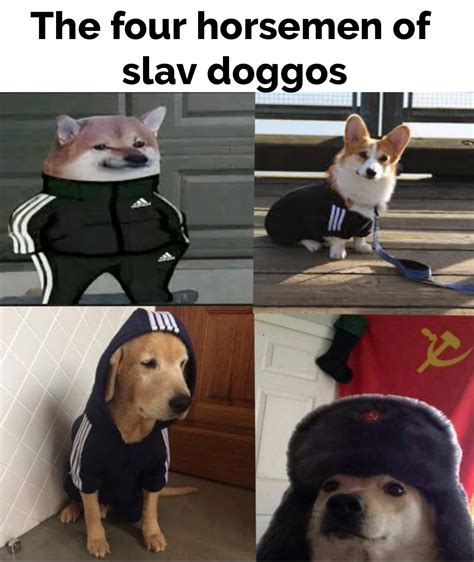 Every Slav Needs A Doggo Rdankmemes