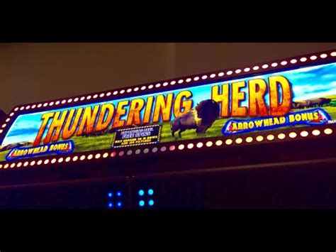 Thundering Herd Slot Bonus Youtube