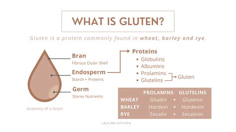 Laulima Kitchen Identifying Gluten What Is It And Where Does It Hide