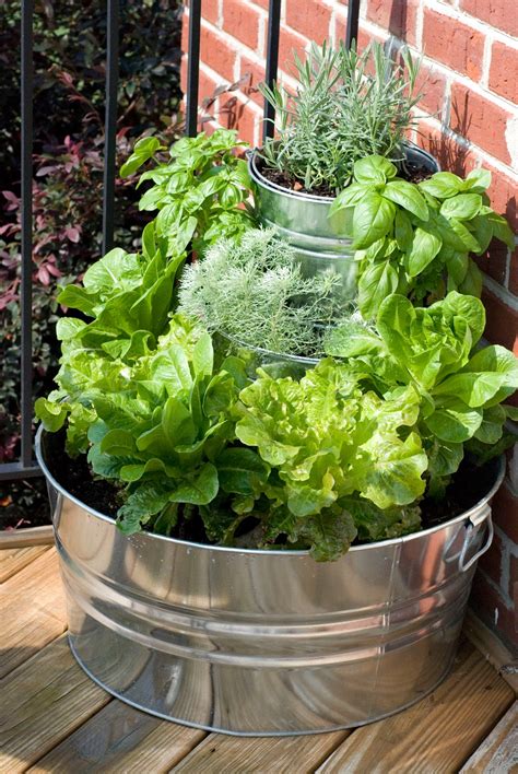 The Vintage Wren Tiered Lettuce And Herb Garden